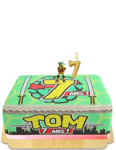 Gateausansoeufs.com Gâteau Tortue Ninja de super-héros vegan et sans gluten - 22