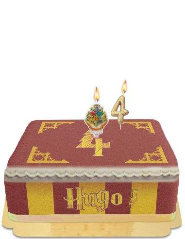 Gateausansoeufs.com Gâteau Harry Potter décoration chocogrenouille et magie vegan et sans gluten - 322