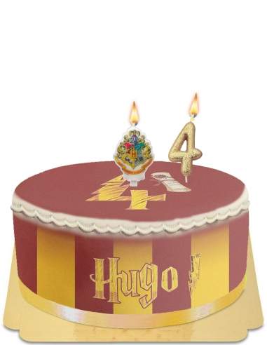 Gateausansoeufs.com Gâteau Harry Potter décoration chocogrenouille et magie vegan et sans gluten - 306