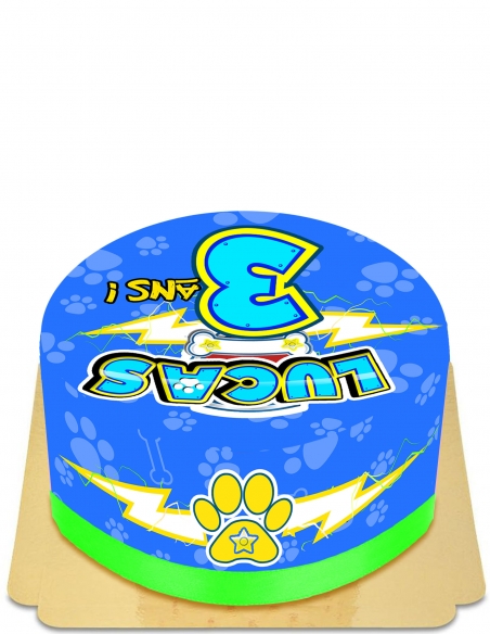 Gateausansoeufs.com Pat Patrouille gâteau pop up vegan et sans gluten - 85