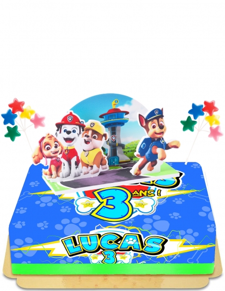 Gateausansoeufs.com Pat Patrouille gâteau pop up vegan et sans gluten - 49