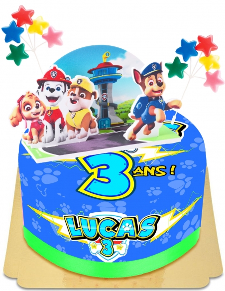 Gateausansoeufs.com Pat Patrouille gâteau pop up vegan et sans gluten - 80