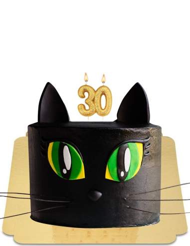 Gateau Chat Noir A Grands Yeux Vegan Sans Gluten