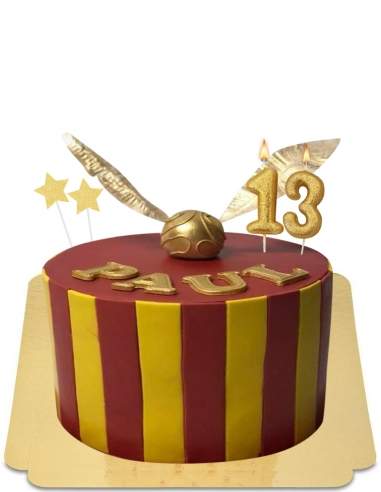 Gâteau Harry Potter décoration chocogrenouille et magie vegan et sa