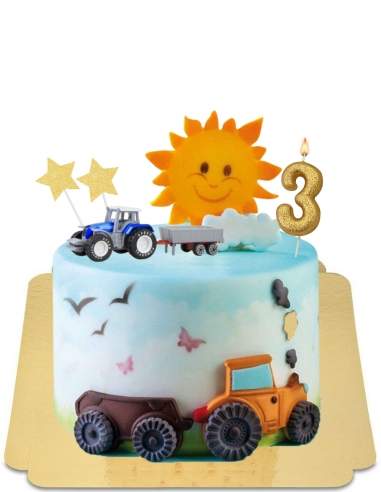  Gâteau tracteur de ferme vegan, sans gluten - 52