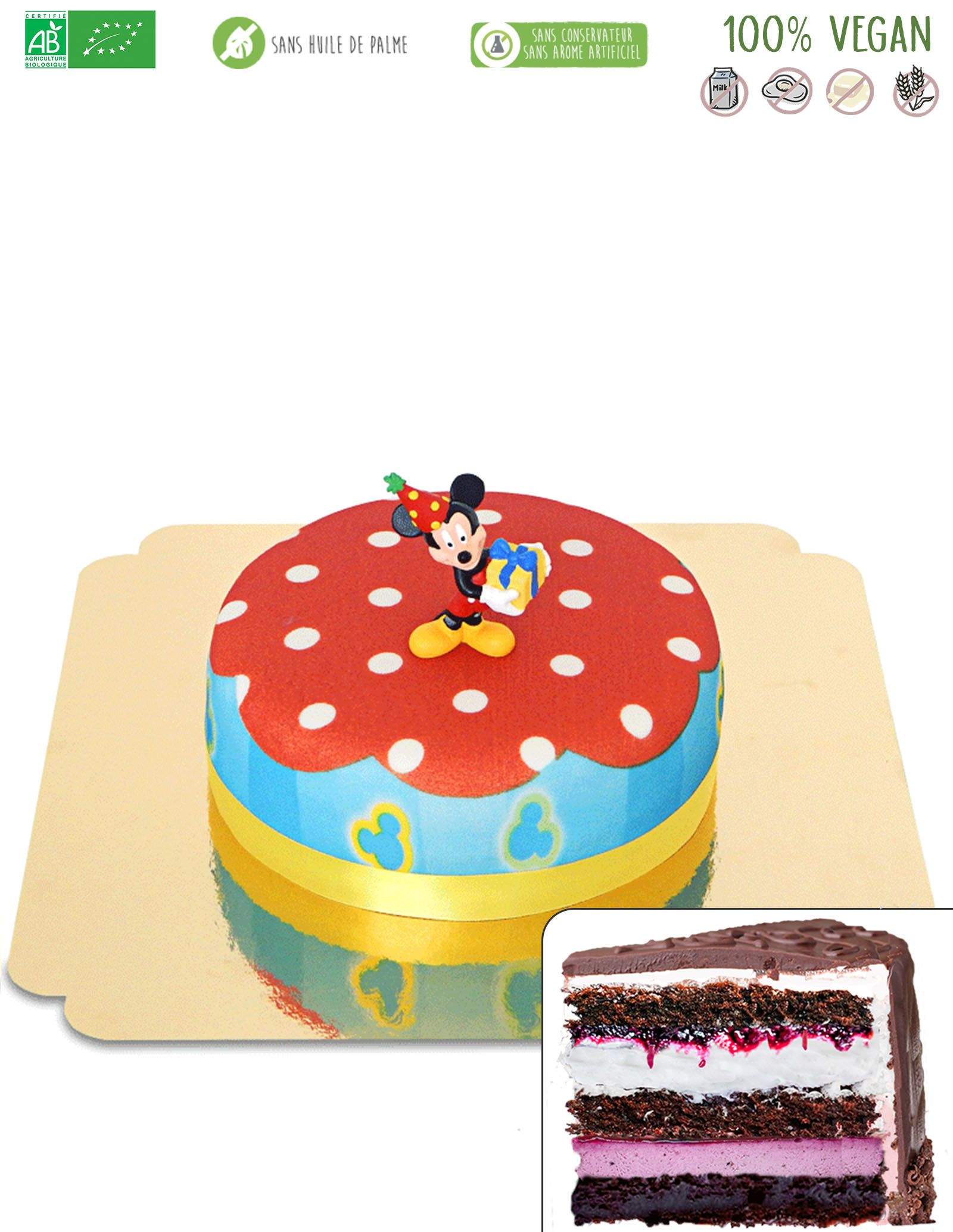 Gateau Vegetarien Sans Oeuf Sans Gluten Et Bio Pour Enfant Mickey