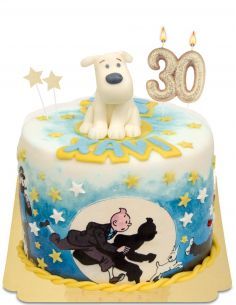Gateausansoeufs.com Gâteau Tintin et Milou vegan et sans gluten - 2