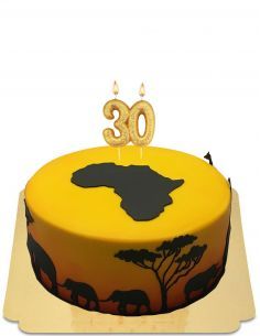 Gateausansoeufs.com Gâteau Afrique soleil couchant dans la savane vegan et sans gluten - 44